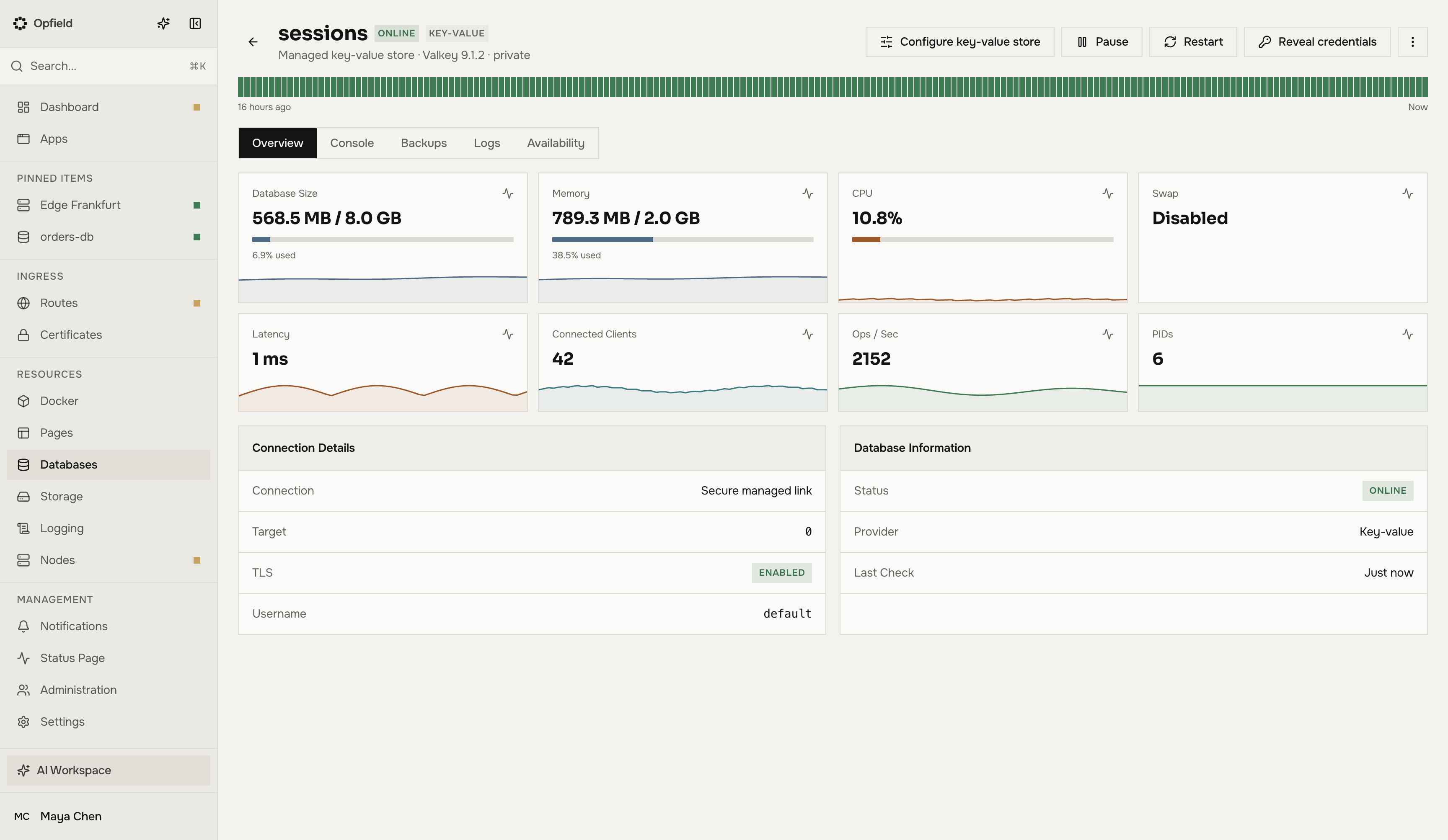 Übersicht eines Key-Value-Stores mit Größe, Arbeitsspeicher, CPU, Latenz, Clients und Operationen pro Sekunde