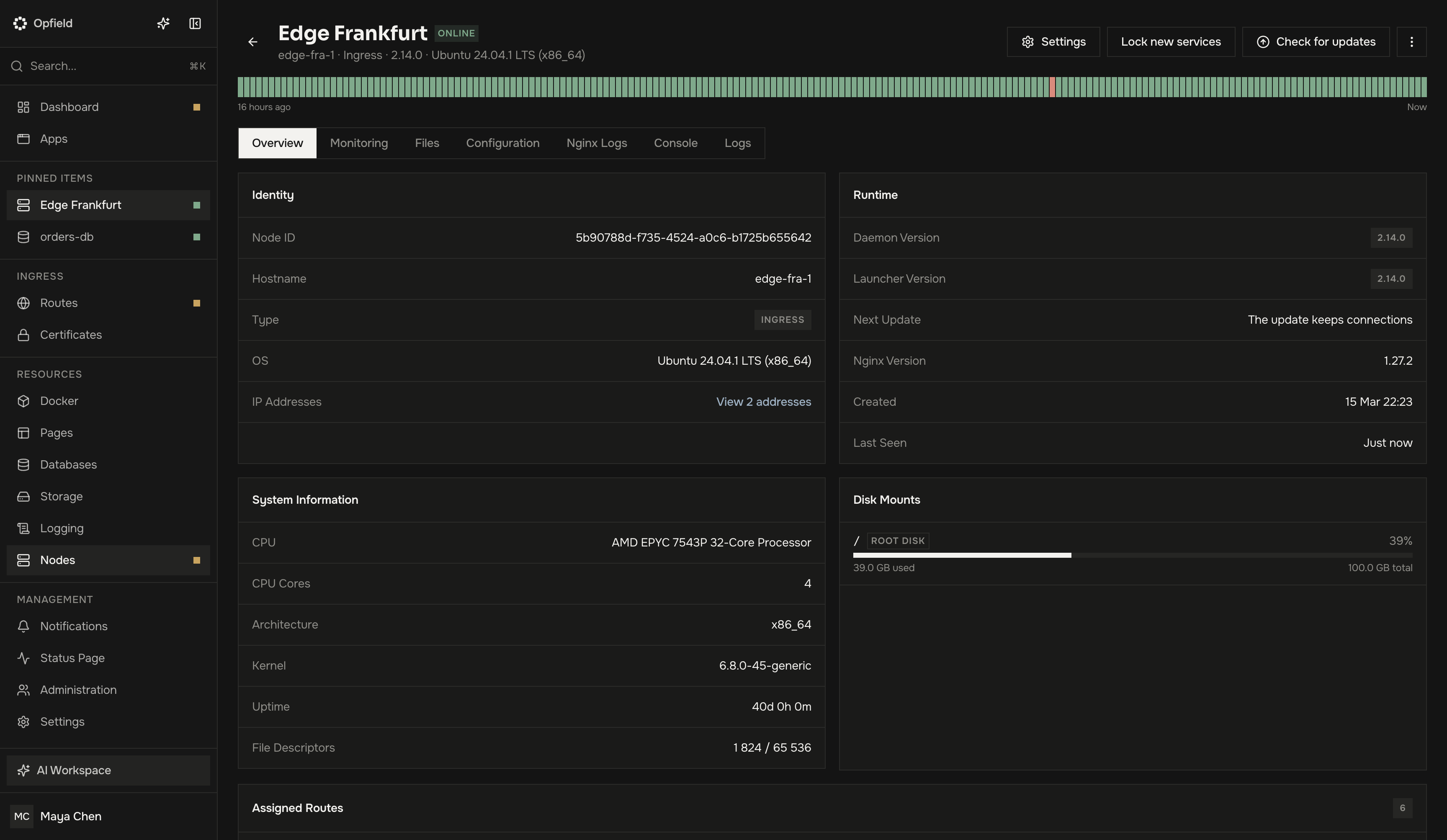 Detalles de un nodo Ingress con identidad, entorno de ejecución, información del sistema y uso de disco
