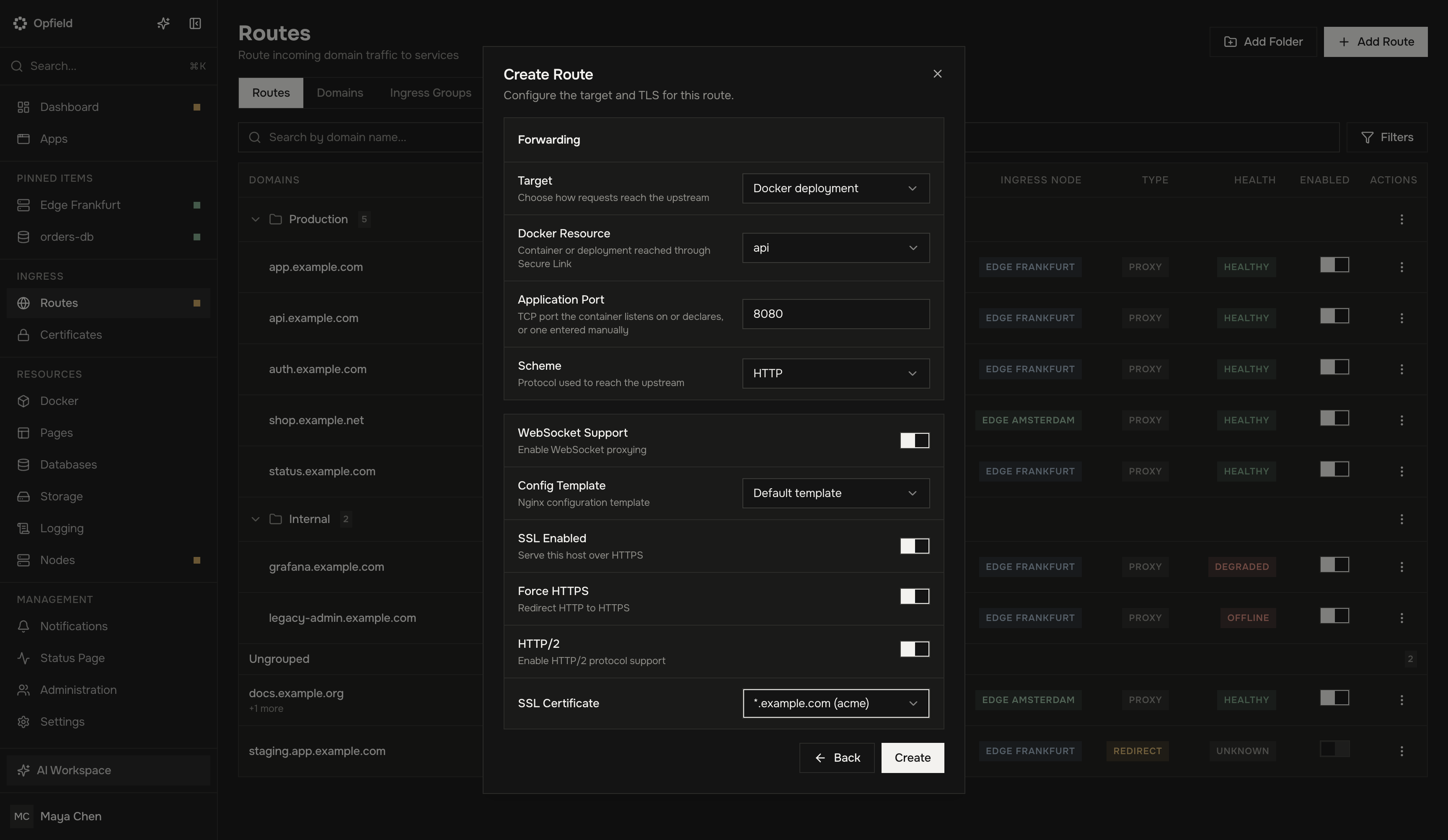 Dialog Create Route mit einem Docker-Ziel, Anwendungsport und TLS-Einstellungen