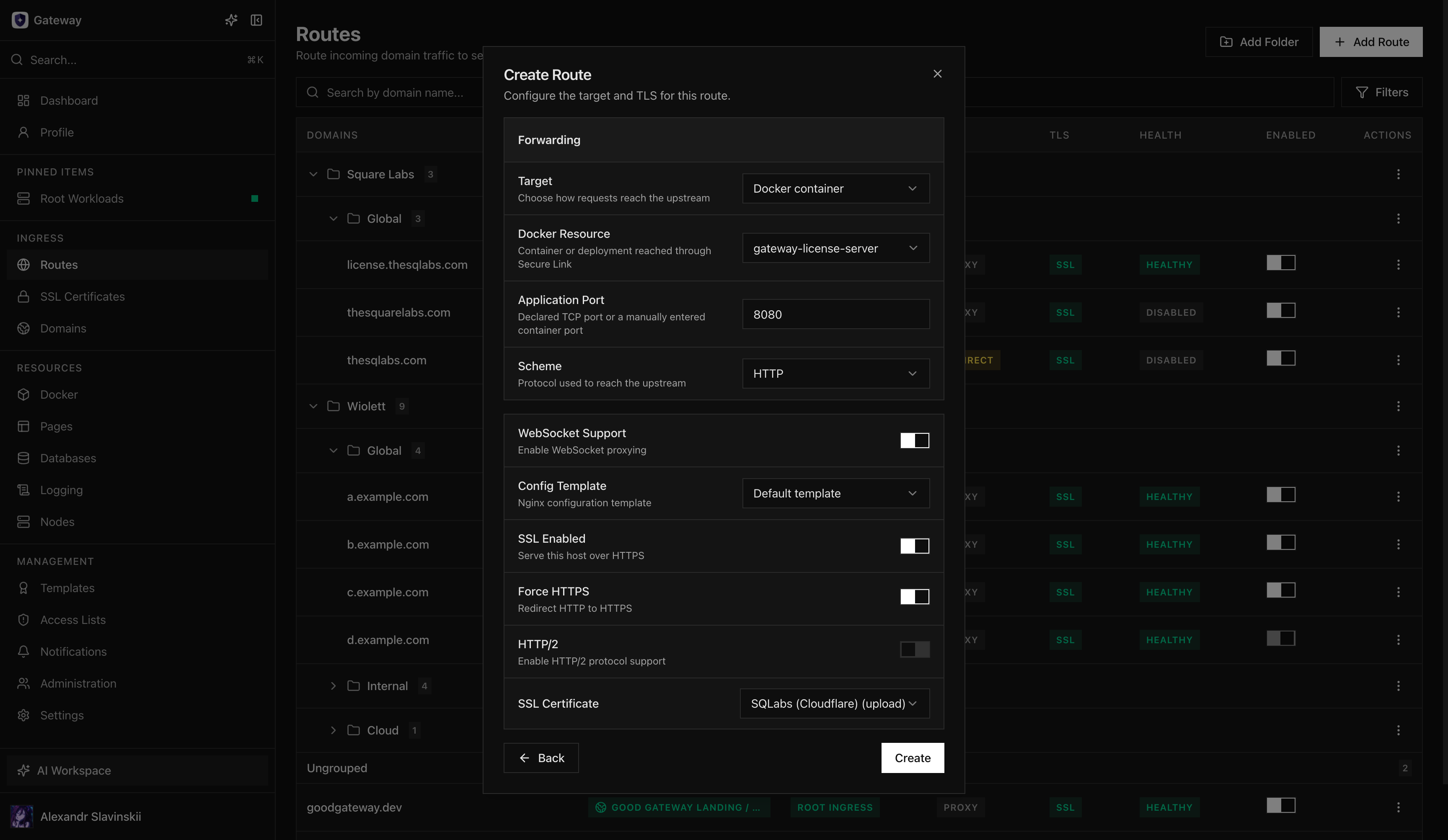 Create Route dialog with a Docker target, application port, and TLS settings